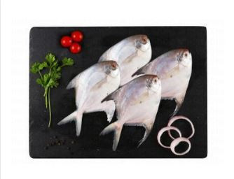Fresh Whole Silver Pomfret 4 pcs 1 kg 63 AED