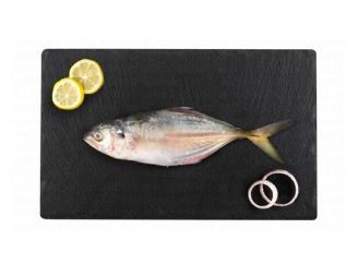 Fresh Small Whole Malabar Travelly local 400 grams 23 AED