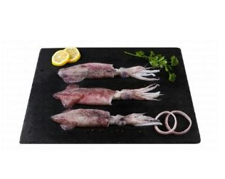 Fresh Big whole squid local 1kg 56AED