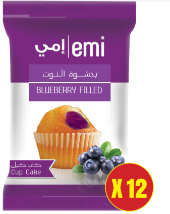 Blueberry Filled Pack of 12