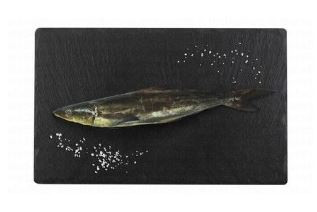 Fresh Big Whole Cobia local 4500 grams 266 AED