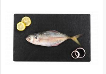 Fresh Big Whole Malabar Trevelly Local 1500 grams 60 AED