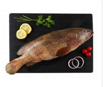 Fresh small whole hammour 1 kg 64 AED