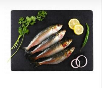 Fresh Big Whole Sardines Oman 1kg 18AED
